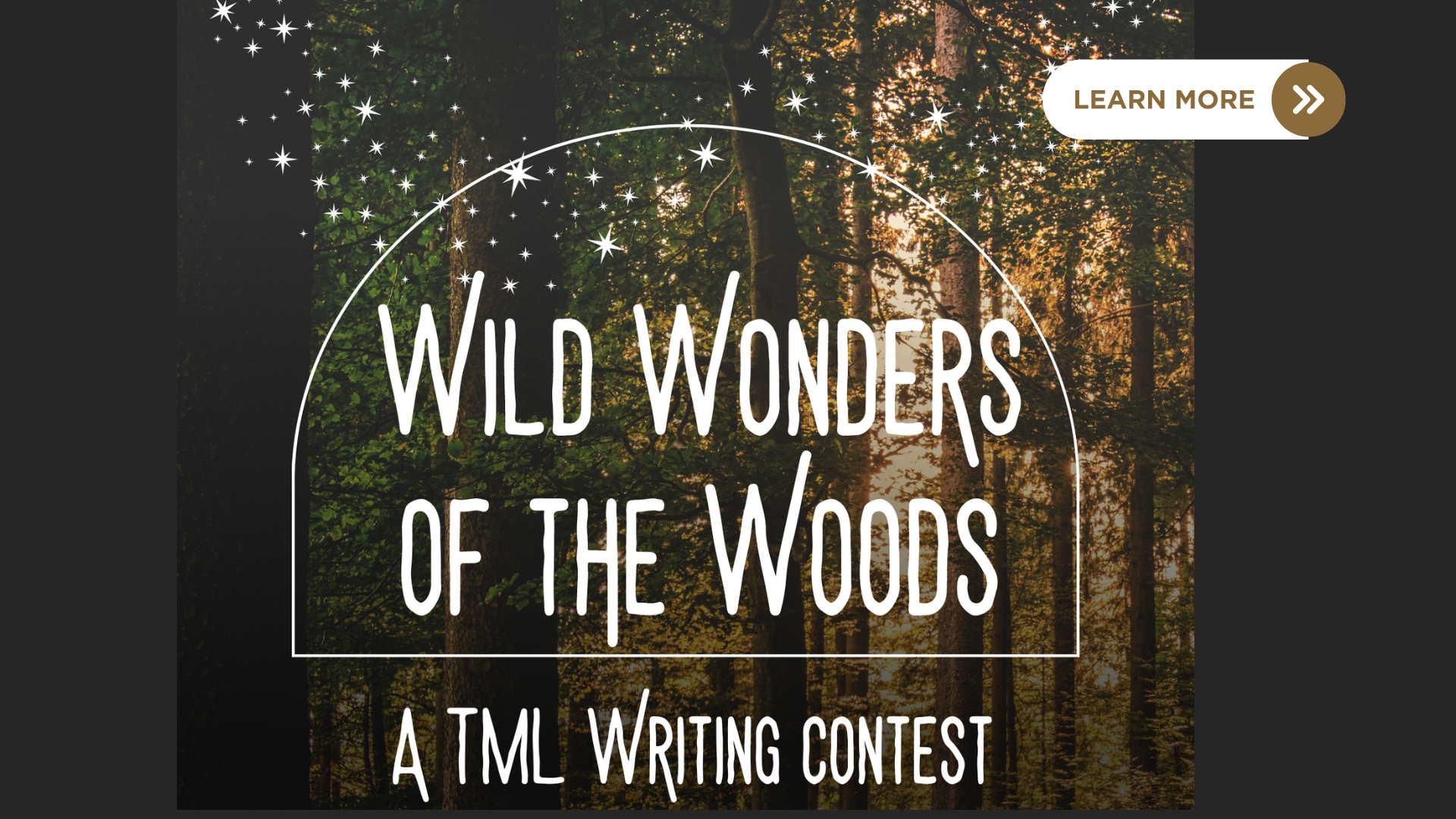 dark woods in the background with white stars and the words "Wild Wonders of the Woods: A TML Writing Contest" with a click to learn more button