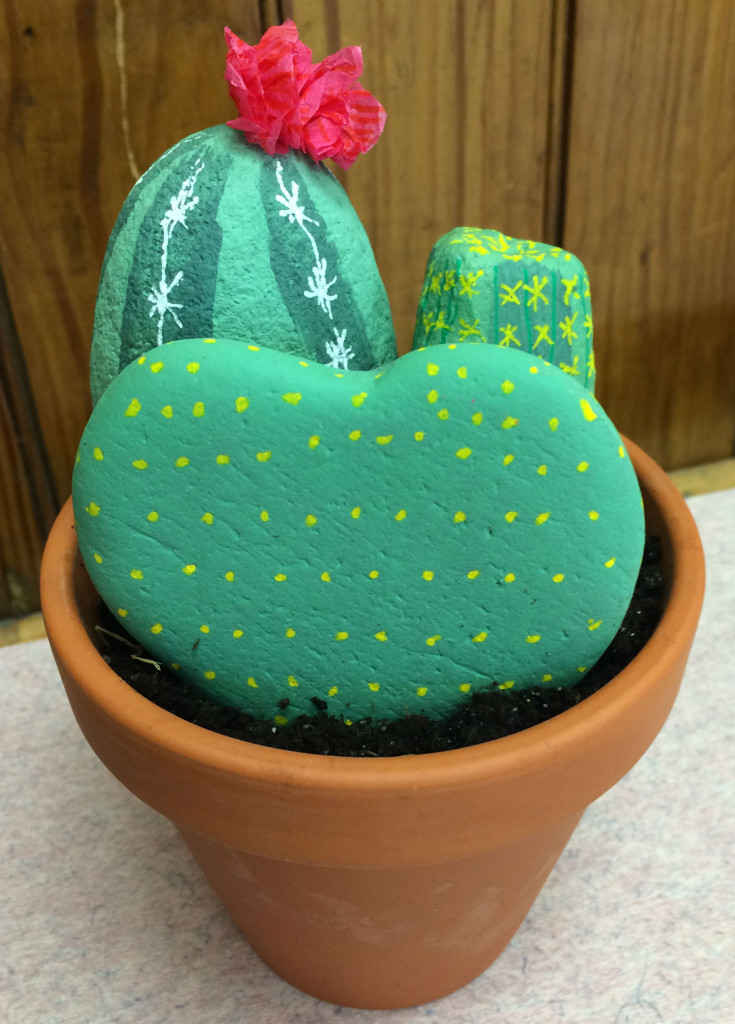 cactus-garden-from-stones