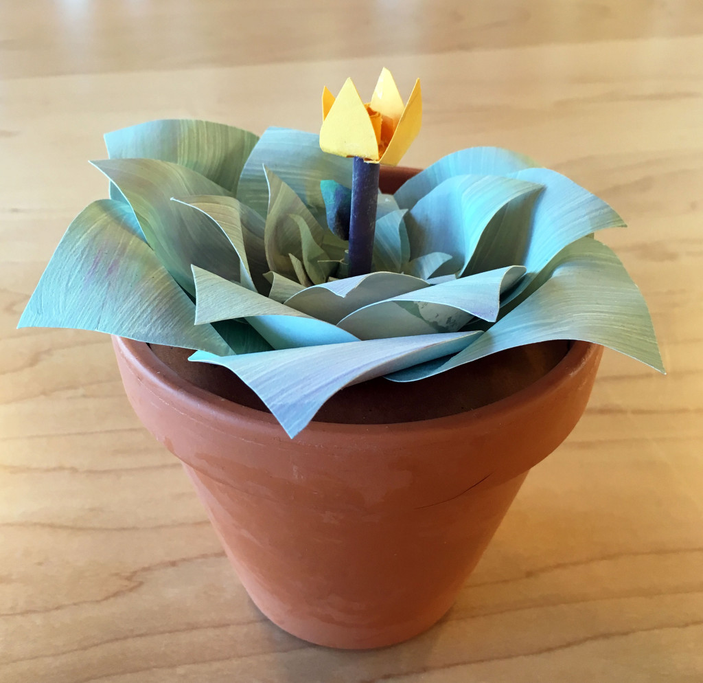 DIY Succulent by Kiah Gardner