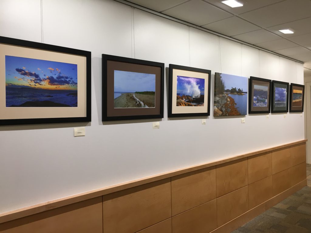 Photographs by Kyle Neugebauer