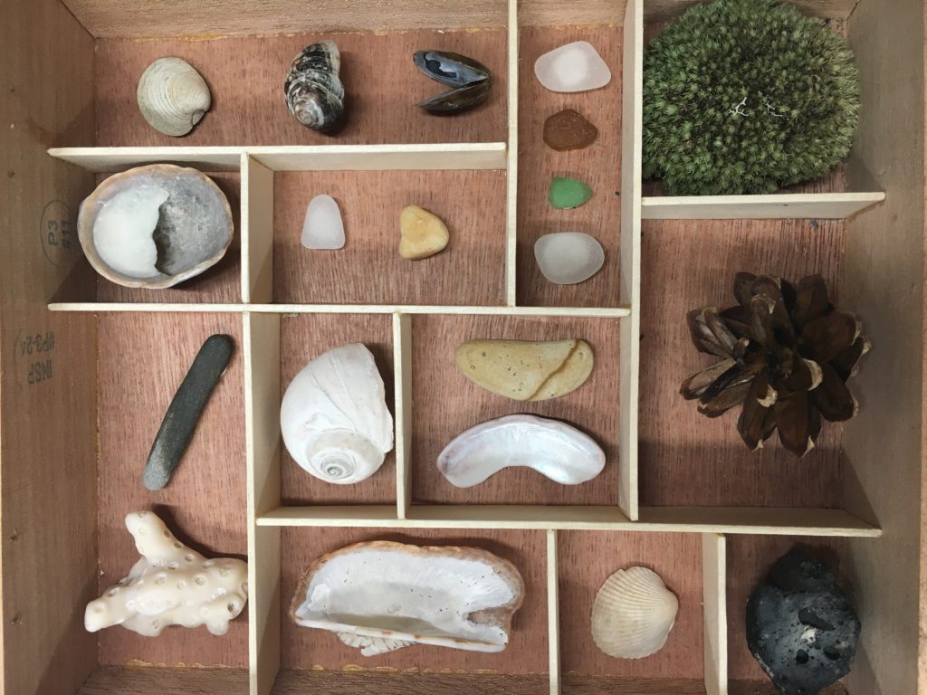 curiosity cabinet by Kiah Gardner