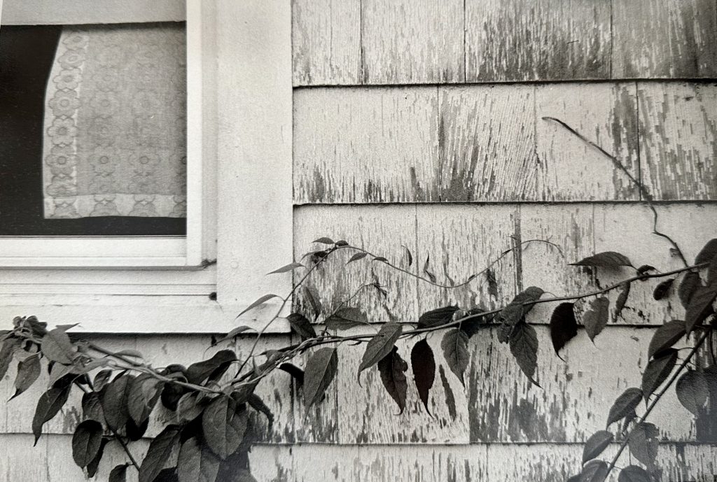 Watermill, New York (1983)