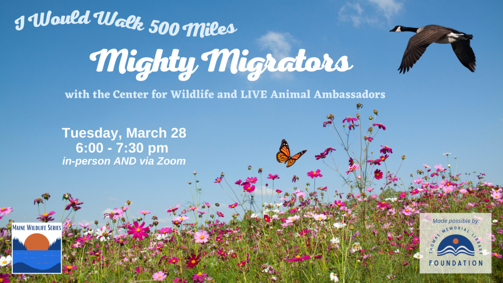 Mighty Migrators with the Center for Wildlife and Live Animal Ambassadors