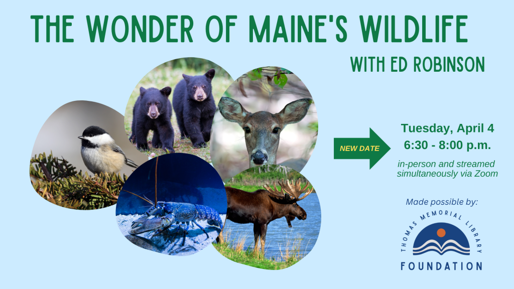 The Wonder of Maine's Wildlife
