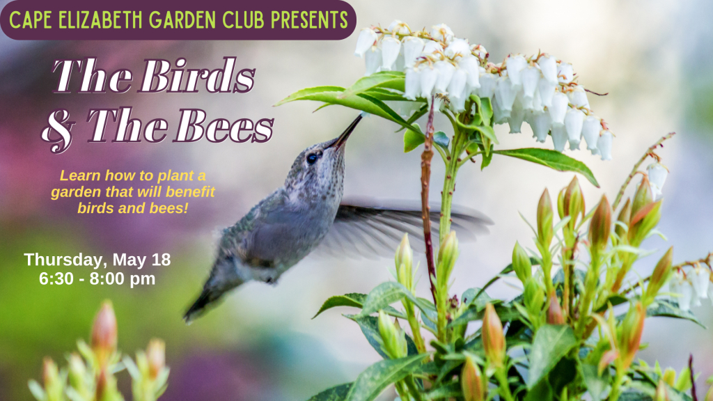 Cape Elizabeth Garden Club presents The Birds and the Bees