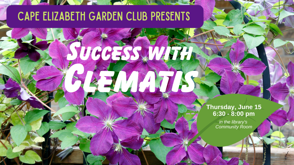 Success with Clematis