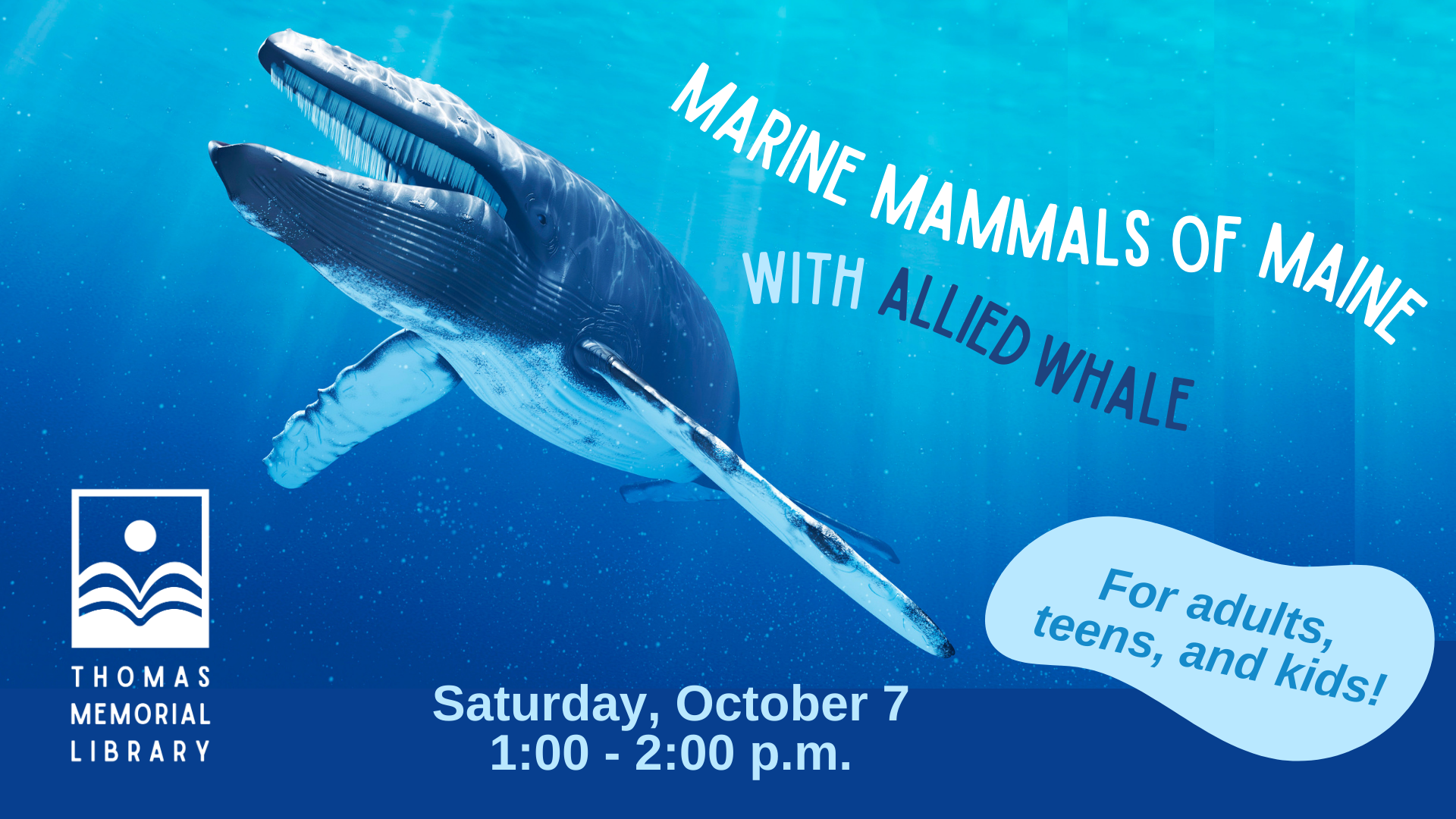 Marine Mammals of Maine with Allied Whale