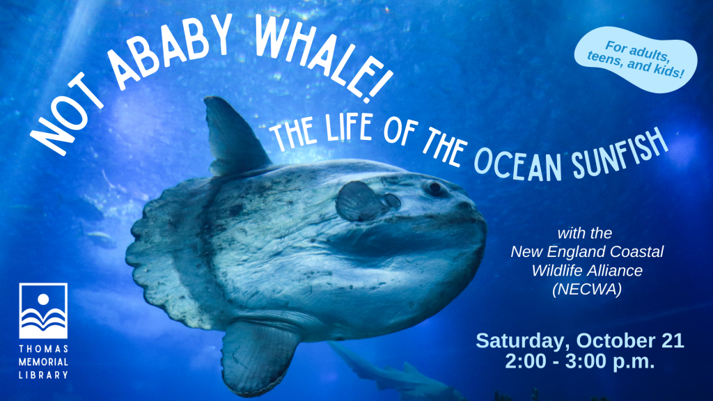 Not a Baby Whale: The Life of the Ocean Sunfish on Saturday, October 21 at 2:00 pm