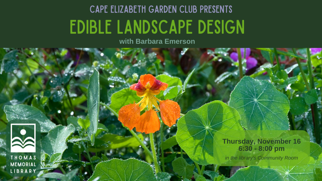 Edible Landscape Design, program on November 16 at 6:30 p.m. Photo of nasturtiums blooming in a garden.