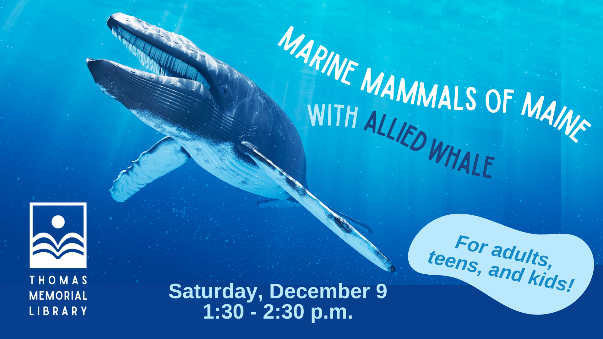Marine Mammals of Maine with Allied Whale, click for more information