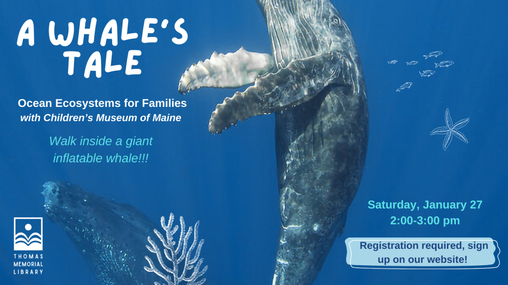 A Whale's Tale with Children's Museum of Maine, Saturday, January 27 at 2:00 pm