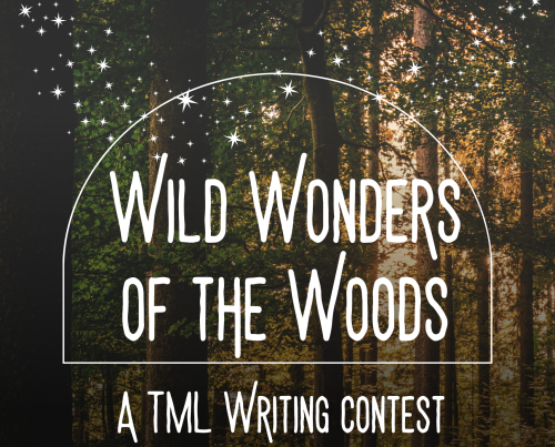 an image of a dark forest scattered with white stars with the words, "Wild wonders of the woods: a TML Writing Contest"