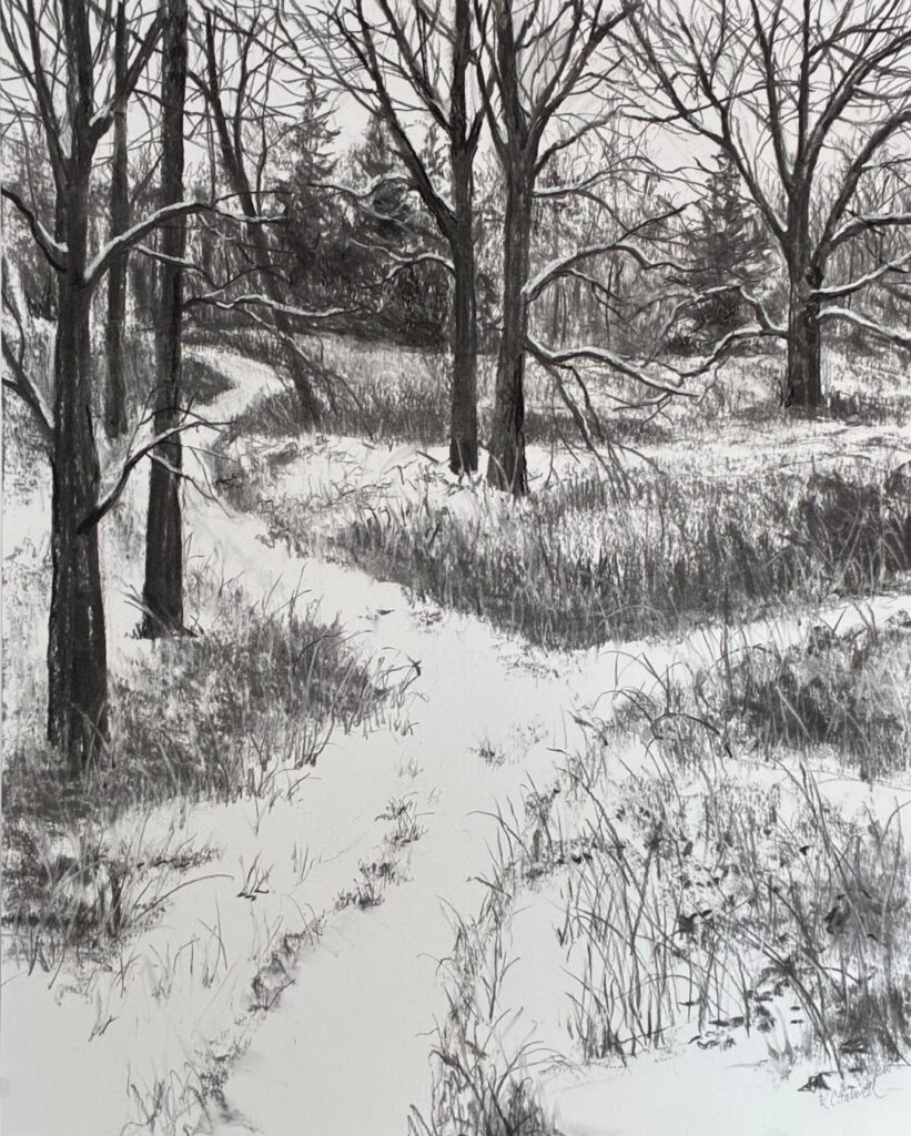 a charcoal drawing of a forked path in a sparse forest of trees