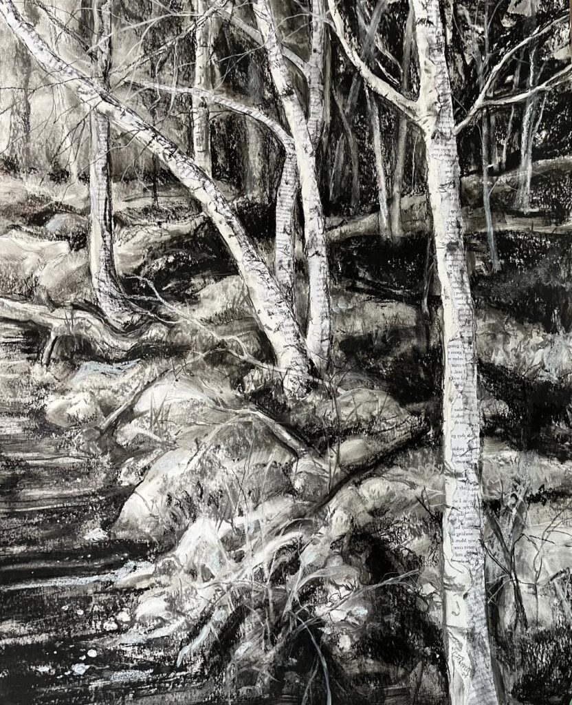 A charcoal drwing of trees bending over a shady path