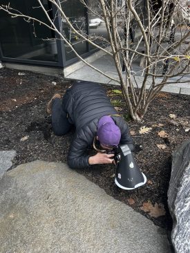 photographer Michael DeLola using a special lense to photograph a tiny insect